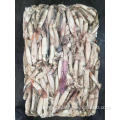 High Quality Squid Todarodes Pacificus New arrival Frozen squid Todarodes Pacificus squid 60-80g Manufactory